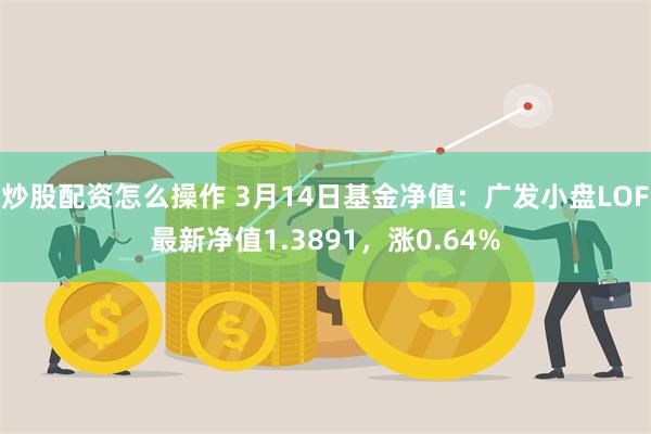 炒股配资怎么操作 3月14日基金净值：广发小盘LOF最新净值1.3891，涨0.64%
