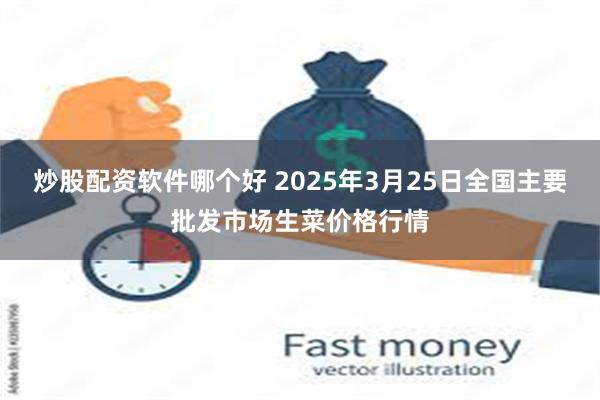 炒股配资软件哪个好 2025年3月25日全国主要批发市场生菜价格行情