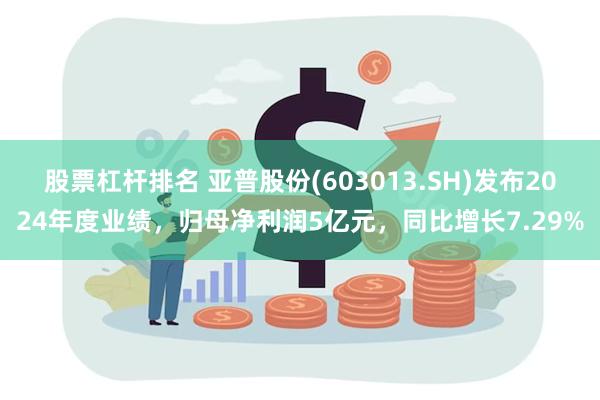 股票杠杆排名 亚普股份(603013.SH)发布2024年度业绩，归母净利润5亿元，同比增长7.29%
