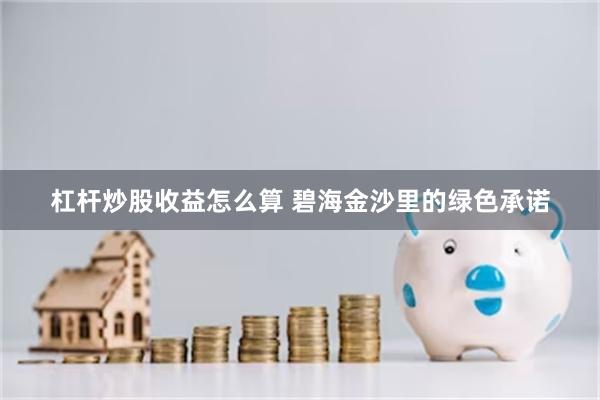杠杆炒股收益怎么算 碧海金沙里的绿色承诺