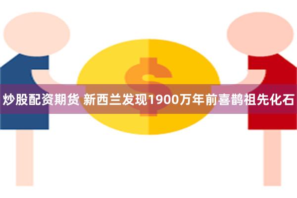 炒股配资期货 新西兰发现1900万年前喜鹊祖先化石
