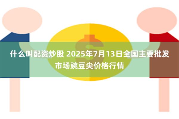 什么叫配资炒股 2025年7月13日全国主要批发市场豌豆尖价格行情