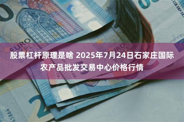 股票杠杆原理是啥 2025年7月24日石家庄国际农产品批发交易中心价格行情