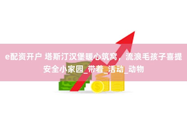 e配资开户 塔斯汀汉堡暖心筑窝，流浪毛孩子喜提安全小家园_带着_活动_动物